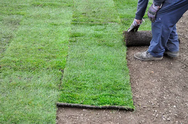 How long after installing sod can you walk on it in San Marcos, CA