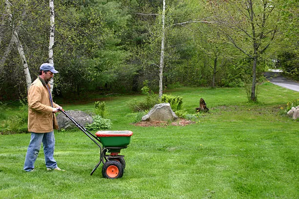 Dependable Lawn Fertilization in San Marcos, CA