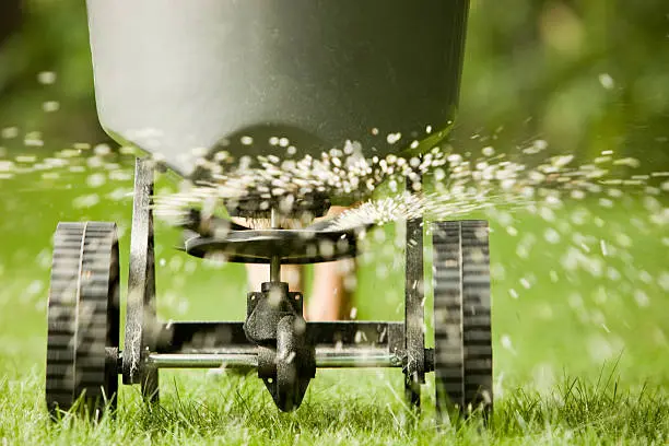 How often should you fertilize your lawn San Marcos, CA