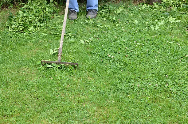 How to clear a yard full of weeds San Marcos, CA