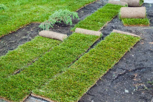 How to lay sod over existing lawn in San Marcos, CA