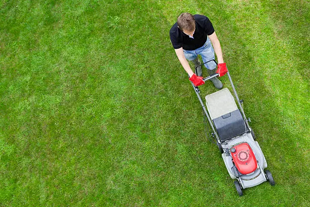 How to mow a lawn in San Marcos, CA