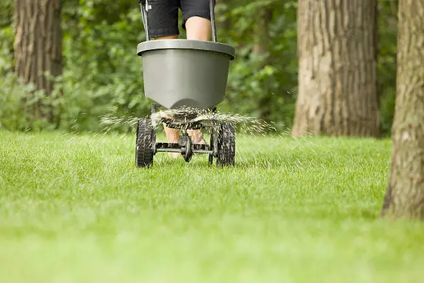 Lawn Fertilization in San Marcos, CA