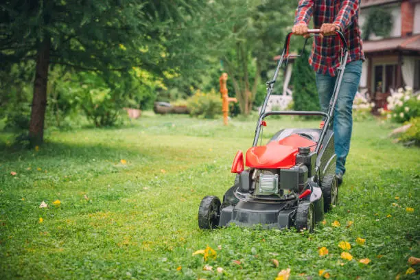 Lawn Mowing San Marcos, CA