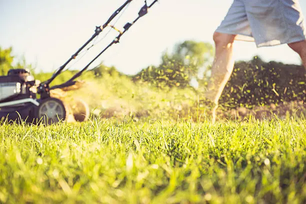 Lawn Mowing in San Marcos, CA