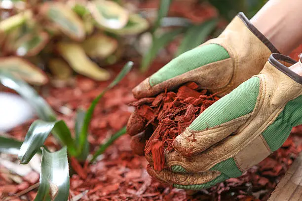 Mulching San Marcos, CA