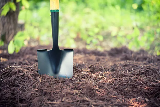 Mulching in San Marcos, CA