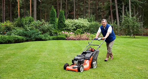 Reliable Lawn Mowing in San Marcos, CA