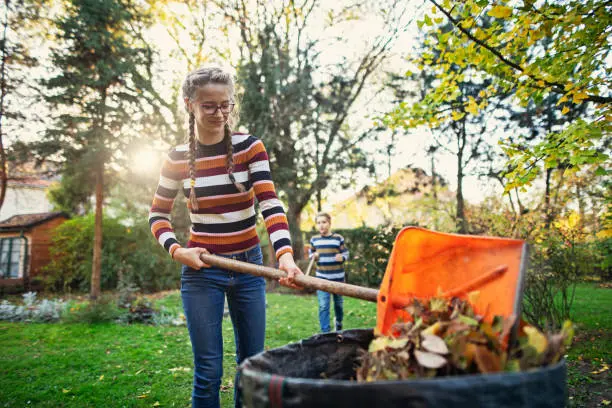 Reliable Yard Cleanup in San Marcos, CA