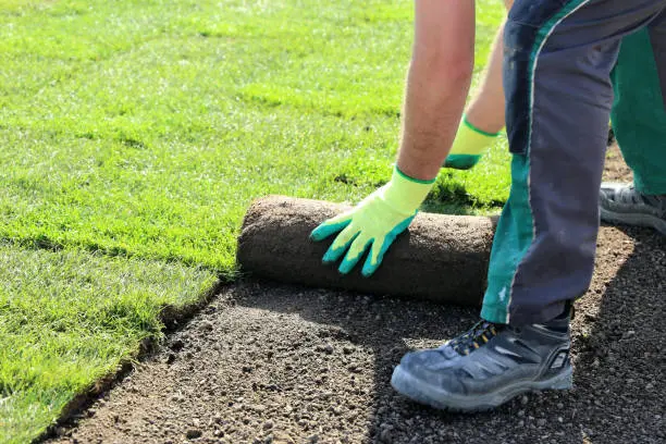 Sod Installation San Marcos, CA