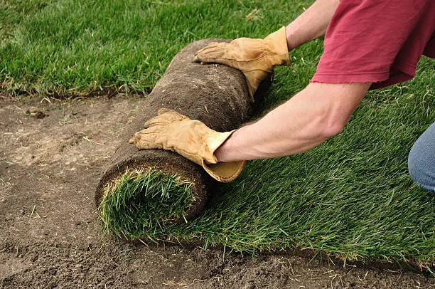 Sod Installation in San Marcos, CA