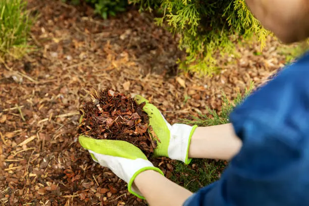 What does mulch do in San Marcos, CA