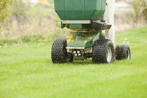 When is the best time to fertilize your lawn San Marcos, CA