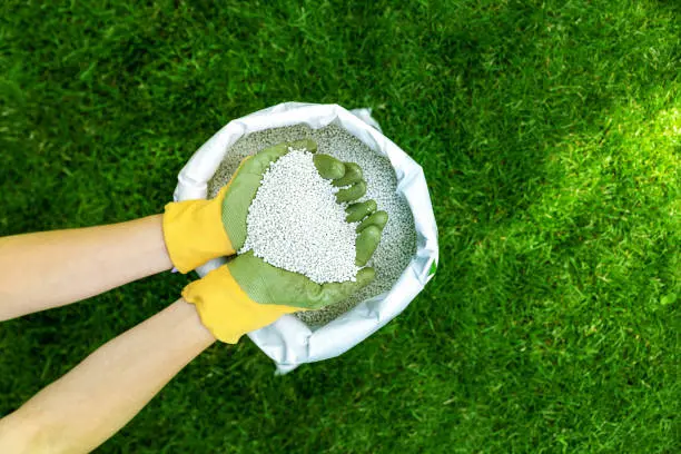 When is the best time to fertilize your lawn in San Marcos, CA