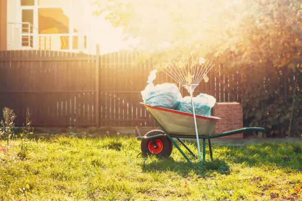 Yard Cleanup in San Marcos, CA